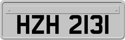 HZH2131