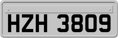 HZH3809
