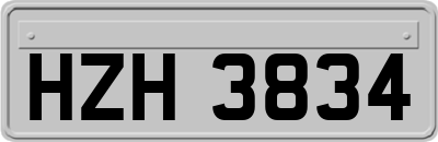 HZH3834