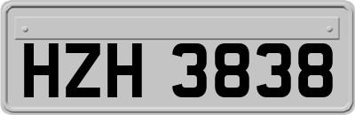HZH3838