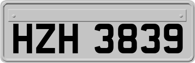 HZH3839