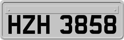 HZH3858