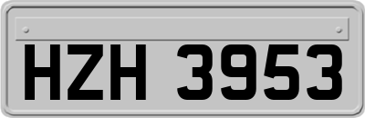 HZH3953
