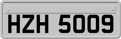 HZH5009