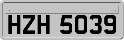 HZH5039