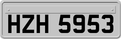 HZH5953