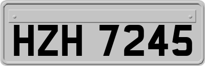 HZH7245