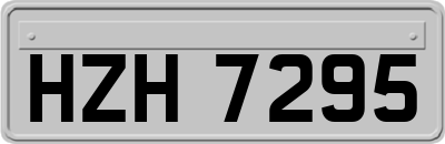 HZH7295