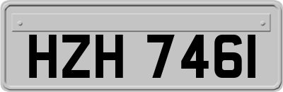 HZH7461