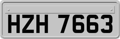 HZH7663