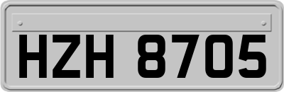 HZH8705