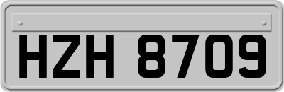 HZH8709