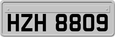 HZH8809
