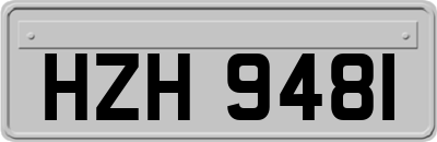 HZH9481