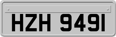HZH9491