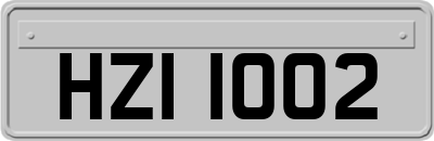 HZI1002