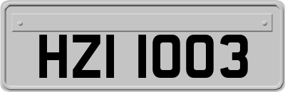 HZI1003