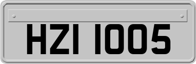 HZI1005