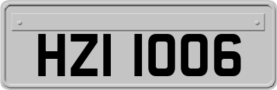 HZI1006