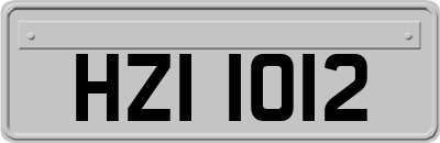 HZI1012
