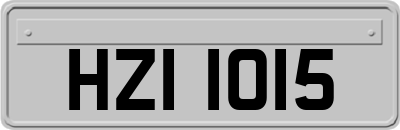 HZI1015