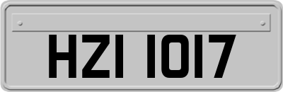 HZI1017