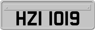 HZI1019