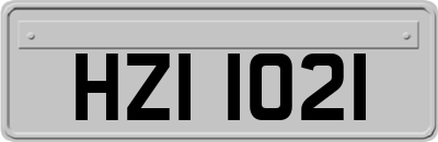 HZI1021