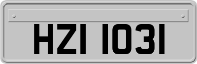 HZI1031