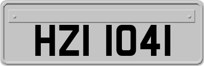 HZI1041