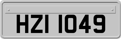 HZI1049