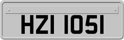 HZI1051