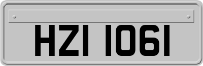 HZI1061