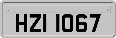 HZI1067