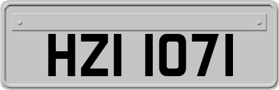 HZI1071