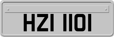 HZI1101