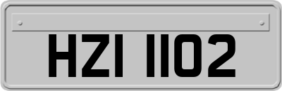 HZI1102