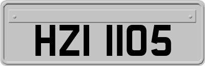 HZI1105