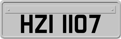 HZI1107