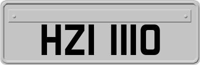 HZI1110