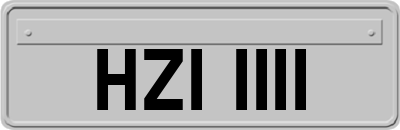 HZI1111