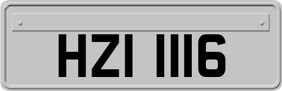 HZI1116