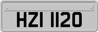 HZI1120