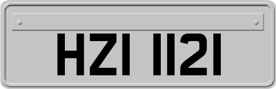 HZI1121