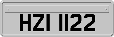 HZI1122