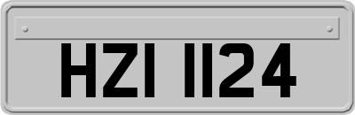 HZI1124