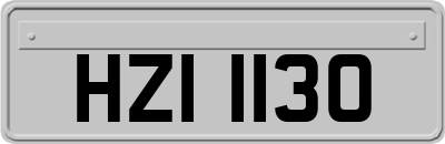 HZI1130