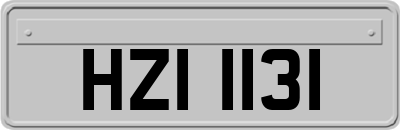 HZI1131
