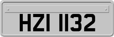 HZI1132