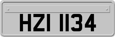 HZI1134